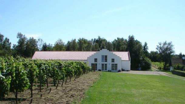 Gdk heden vingård @visitaalborg